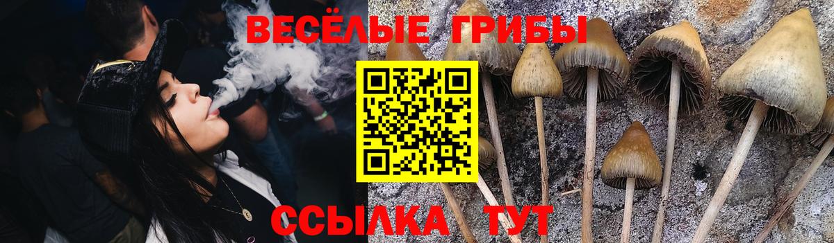 Гудермес  Псилоцибиновые грибы прущие грибы  Вход с VPN 