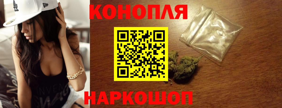 Каннабис индика Гудермес