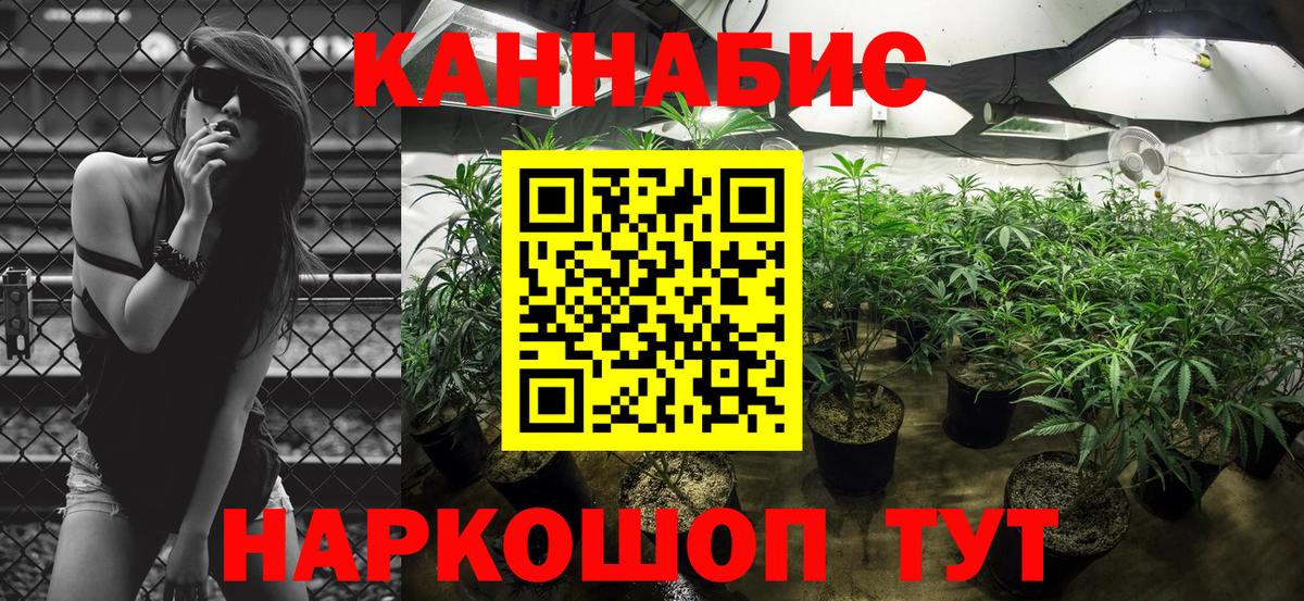 Каннабис THC 21%  Бошки марихуана планчик  МАРИХУАНА VHQ  Гудермес  Вход с VPN 